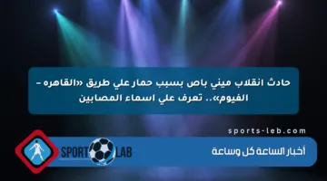 حادث انقلاب ميني باص بسبب حمار على طريق «القاهرة – الفيوم».. تعرف على أسماء المصابين